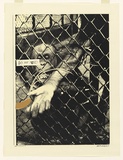 Artist: b'Whiteley, Brett.' | Title: b'Swinging monkey [2].' | Date: 1965 | Technique: b'screenprint, printed in colour, from three stencils' | Copyright: b'This work appears on the screen courtesy of the estate of Brett Whiteley'