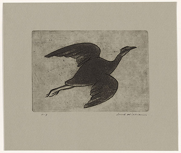 Artist: b'WILLIAMS, Fred' | Title: b'Night heron' | Date: 1962 | Technique: b'etching, aquatint and engraving, printed in black ink, from one copper plate' | Copyright: b'\xc2\xa9 Fred Williams Estate'