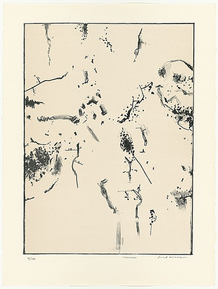 Artist: b'WILLIAMS, Fred' | Title: b'Acacias' | Date: 1977-78 | Technique: b'lithograph, printed in colour, from two zinc plates' | Copyright: b'\xc2\xa9 Fred Williams Estate'