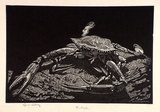 Artist: LINDSAY, Lionel | Title: The crab | Date: 1931 | Technique: wood-engraving, printed in black ink, from one block | Copyright: Courtesy of the National Library of Australia