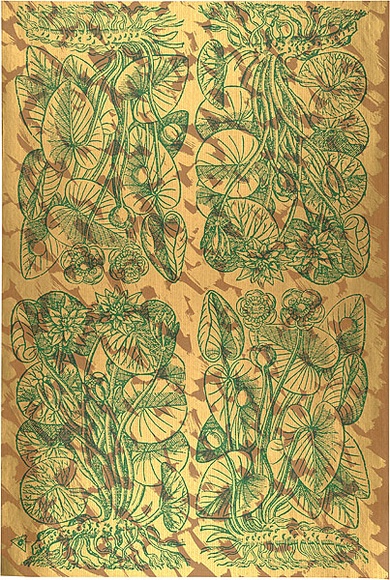 Artist: b'REDBACK GRAPHIX' | Title: b'Wrapping paper: Gold' | Date: 1986 | Technique: b'screenprint, printed in colour, from three stencils'