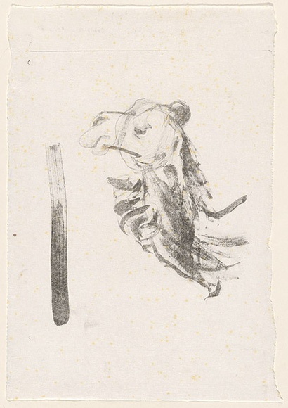 Artist: MACQUEEN, Mary | Title: Camel head | Date: 1969 | Technique: lithograph, printed in black ink, from one plate | Copyright: Courtesy Paulette Calhoun, for the estate of Mary Macqueen
