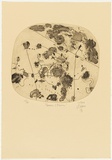 Artist: Olsen, John. | Title: Flowers and storm | Date: 1976 | Technique: aquatint and deep etching, printed in warm black ink with plate-tone, from one plate | Copyright: © John Olsen. Licensed by VISCOPY, Australia
