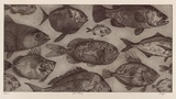 Artist: b'Virgo, Anne.' | Title: b'Gone fishing' | Date: 2001 | Technique: b'etching, printed in black ink with plate-tone, from one plate'