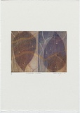 Artist: b'Wright, Helen.' | Title: b'(Two leaves with water droplets)' | Date: 2000 | Technique: b'digital print, printed in colour, from digital file'