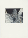Title: b'Ta Prohm, trees and entrance' | Date: 1999 | Technique: b'etching, aquatint and lavis, printed in colour, from two plates'