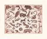 Artist: b'Hogan, Jan.' | Title: b'Day six 1' | Date: 1995 | Technique: b'etching, printed in red-brown ink, from one stencil'