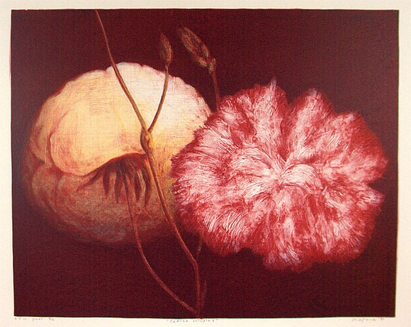 Artist: b'Maguire, Tim.' | Title: b'Caduca voluptas' | Date: 1991 | Technique: b'lithograph, printed in colour, from eight stones' | Copyright: b'\xc2\xa9 Tim Maguire'