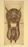 Artist: b'White, Nigel.' | Title: b'Moo/nay' | Date: 1991 | Technique: b'drypoint, printed in sepia ink, from one plate'