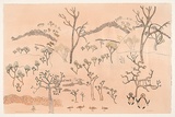 Title: Limestone ridges and young boab, Kimberley | Date: 2000 | Technique: lithograph, printed in colour, from multiple zinc carbide plates; additional hand colouring