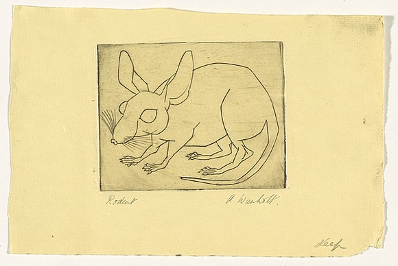 Artist: b'Wienholt, Anne.' | Title: b'Rodent' | Date: (1948) | Technique: b'line-engraving, printed in black ink with plate-tone, from one copper plate'