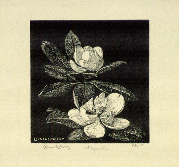 Artist: b'LINDSAY, Lionel' | Title: b'Magnolias' | Date: 1924 | Technique: b'wood-engraving, printed in black ink, from one block' | Copyright: b'Courtesy of the National Library of Australia'