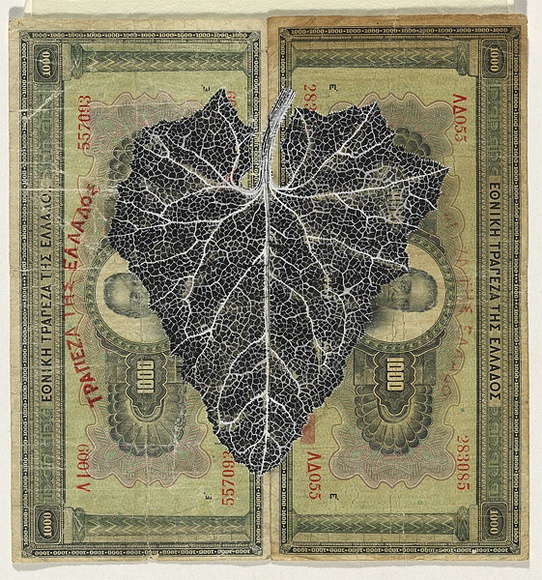 Artist: b'HALL, Fiona' | Title: b'Echallium elaterium - Squirting cucumber (Greek currency)' | Date: 2000 - 2002 | Technique: b'gouache' | Copyright: b'\xc2\xa9 Fiona Hall'