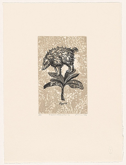 Artist: b'Milojevic, Milan.' | Title: b'A question of balance (Figur 33).' | Date: 2007 | Technique: b'relief-etching and aquatint, printed in colour, from two plates'