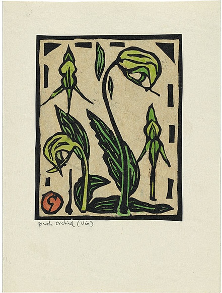 Artist: b'Reynell, Gladys' | Title: b'Bush orchid, Victoria.' | Date: 1923-1933 | Technique: b'linocut, printed in black ink, from one block; hand-coloured' | Copyright: b'\xc2\xa9 The Estate of Gladys Reynell'