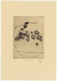 Artist: b'Olsen, John.' | Title: b'Avocet and leaf' | Date: 1976 | Technique: b'aquatint and etching, printed in black ink with plate-tone, from one plate' | Copyright: b'\xc2\xa9 John Olsen. Licensed by VISCOPY, Australia'