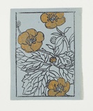 Artist: Sutherland, Jean. | Title: not titled [gold flower on blue paper]