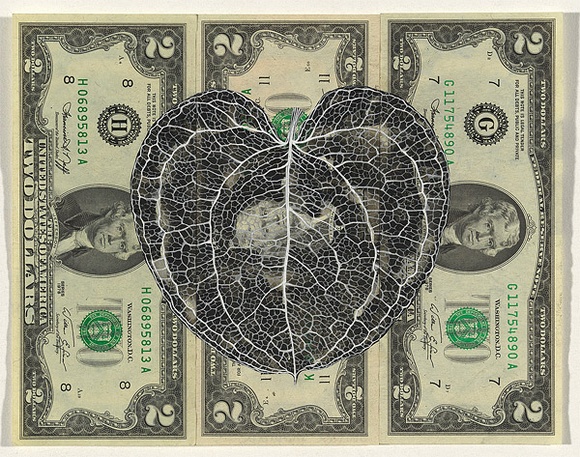 Artist: b'HALL, Fiona' | Title: b'Smilax hispida (American currency)' | Date: 2000 - 2002 | Technique: b'gouache' | Copyright: b'\xc2\xa9 Fiona Hall'