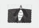 Artist: Orsto, Josette. | Title: March fly dreaming | Date: 1991 | Technique: lithograph, printed in black ink, from one plate