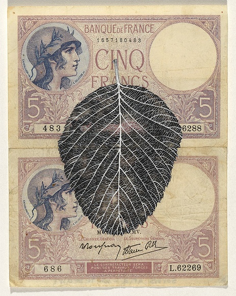 Artist: b'HALL, Fiona' | Title: b'Sorbus aria - Whitebeam (French currency)' | Date: 2000 - 2002 | Technique: b'gouache' | Copyright: b'\xc2\xa9 Fiona Hall'