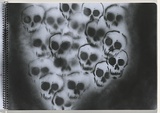 Title: b'Chickenpox' | Date: 2003-2004 | Technique: b'stencils, printed with black aerosol paint, from multiple stencils'