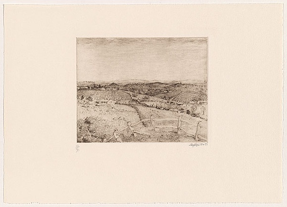 Artist: b'Rees, Lloyd.' | Title: b'North West Tasmania' | Date: 1977 | Technique: b'softground-etching, printed in brown ink, from one zinc plate' | Copyright: b'\xc2\xa9 Alan and Jancis Rees'