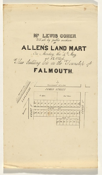 Artist: b'UNKNOWN' | Title: b'Auction plan for lots in the township of Falmouth' | Date: 1857 | Technique: b'lithograph, printed in black ink, from one stone [or plate]'