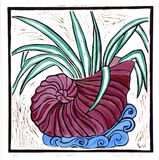 Artist: Varvaressos, Vicki. | Title: Shell vase | Date: 1980 | Technique: linocut, printed in black ink, from one block, hand-coloured | Copyright: © Vicki Varvaressos