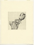 Artist: Headlam, Kristin. | Title: What a wonderful piece of luck. | Date: 1998 | Technique: etching, printed in black ink, from one plate | Copyright: © Kristin Headlam, Licensed by VISCOPY, Australia
