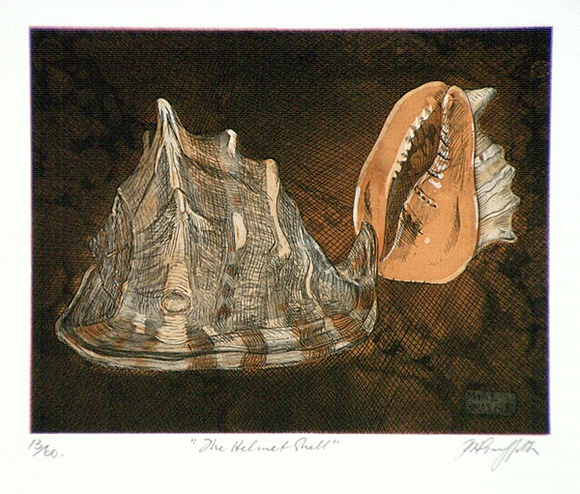 Artist: b'GRIFFITH, Pamela' | Title: b'The helmet shell' | Date: 1981 | Technique: b'etching, printed in black ink, from one plate' | Copyright: b'\xc2\xa9 Pamela Griffith'