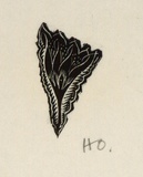Artist: OGILVIE, Helen | Title: (stylized flower) | Date: 1950 | Technique: wood-engraving, printed in black ink, from one block