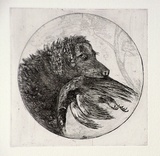 Artist: SIDMAN, William | Title: The retriever with pheasant | Date: 1912, October | Technique: etching, printed in black ink with plate-tone, from one copper plate