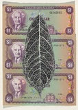 Artist: HALL, Fiona | Title: Annona muricata - Soursop (Jamaican currency) | Date: 2000 - 2002 | Technique: gouache | Copyright: © Fiona Hall