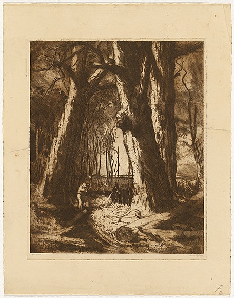 Artist: b'van RAALTE, Henri' | Title: b'Red Gums' | Date: 1917-19 | Technique: b'etching, printed in brown ink, from one plate'