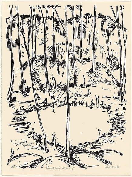 Artist: Rankin, David. | Title: Dam black drawing [2]. | Date: 1984 | Technique: screenprint, printed in black ink, from one stencil
