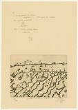 Artist: b'Olsen, John.' | Title: b'Coopers creek in flood' | Date: 1976 | Technique: b'sugarlift-aquatint and engraving, printed in warm black ink with plate-tone, from one plate' | Copyright: b'\xc2\xa9 John Olsen. Licensed by VISCOPY, Australia'