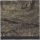 Artist: b'Bryant, Darren' | Title: bTravellers' tales. | Date: 1998 | Technique: b'linocut, printed in colour ink, with blind embossing, from seven plates'