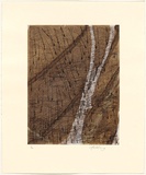 Artist: b'Jobling, Winsome.' | Title: b'The wet.' | Date: 2006 | Technique: b'etching, printed in colour, from six plates'