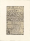 Artist: b'WARLAPINNI, Freda' | Title: b'not titled (geometic composition of linesand circles)' | Date: 1999, May - June | Technique: b'etching, intaglio and relief printed in colour, from one plate' | Copyright: b'\xc2\xa9 Freda Warlapinni, Jilamara Arts and Craft'