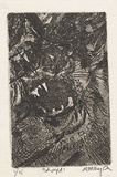 Artist: MEYER, Bill | Title: Shayd. | Date: 1968 | Technique: etching and aquatint, printed in black ink, from one copper plate | Copyright: © Bill Meyer