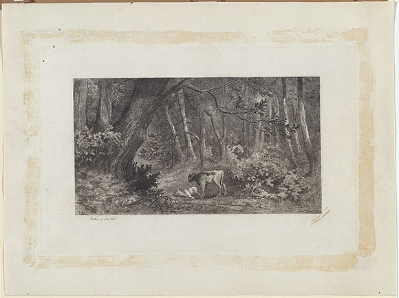 Artist: b'Turner, Charles.' | Title: b'Babes in the wood' | Date: 1882 | Technique: b'etching, printed in black, from one plate'