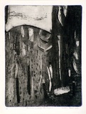 Artist: b'Gleeson, William.' | Title: b'Forest in a gully, Heathmont' | Date: 1966 | Technique: b'etching, printed in black ink, from one plate' | Copyright: b'This work appears on screen courtesy of the artist'