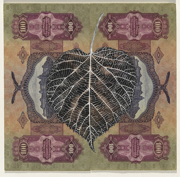 Artist: b'HALL, Fiona' | Title: b'Tilia platyphyllos - Large-leaved lime (Hungarian currency)' | Date: 2000 - 2002 | Technique: b'gouache' | Copyright: b'\xc2\xa9 Fiona Hall'