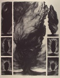 Artist: b'Johnstone, Ruth.' | Title: b'Baptism by fire' | Date: 1986 | Technique: b'lithograph, printed in black ink, from one stone'