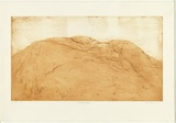 Artist: Mortensen, Kevin. | Title: Australian Back | Technique: etching, printed in colour, from two copper plates | Copyright: © Kevin Mortensen