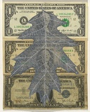 Artist: HALL, Fiona | Title: Quercus palustris - Pin oak (American currency) | Date: 2000 - 2002 | Technique: gouache | Copyright: © Fiona Hall
