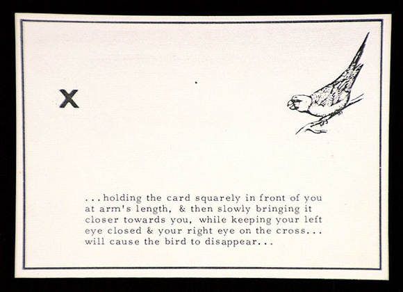 Artist: b'Peacock, Bob.' | Title: b'Vanishing birds, carolina parakeet' | Date: (1976) | Technique: b'photocopy'