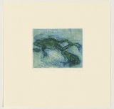 Artist: b'Bragge, Anita.' | Title: b'Frogs' | Date: 1997, July | Technique: b'etching and drypoint, printed in colour, from two plates'