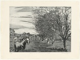 Artist: b'GRIFFITH, Pamela' | Title: b'Horses on the flats of the Murrumbidgee' | Date: 1981 | Technique: b'etching, aquatint printed in black ink, from one zinc plate' | Copyright: b'\xc2\xa9 Pamela Griffith'