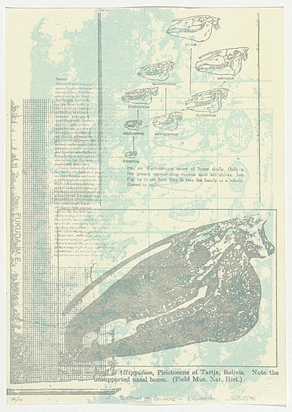 Artist: b'Hill, Tanya.' | Title: b'A question of balance - evolution.' | Date: 1992 | Technique: b'lithograph, printed in colour, from three stones'